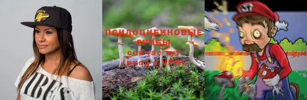 PSILOCYBIN Алзамай