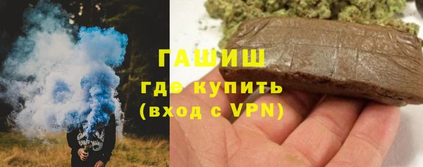 PSILOCYBIN Алзамай