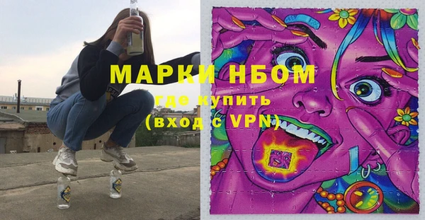 PSILOCYBIN Алзамай
