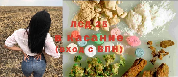 крисы Армянск