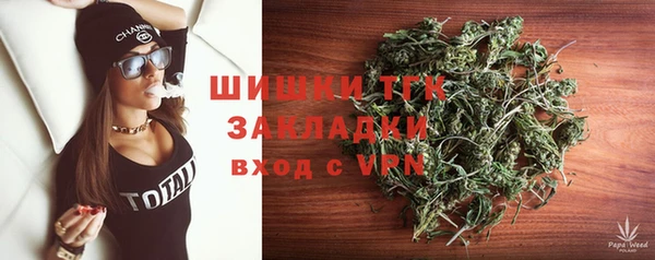 PSILOCYBIN Алзамай