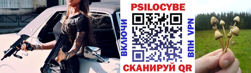 гидра ТОР  Волгоград  Псилоцибиновые грибы MAGIC MUSHROOMS 